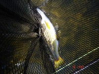 /album/river-kysuca/auto-121-jpg1/